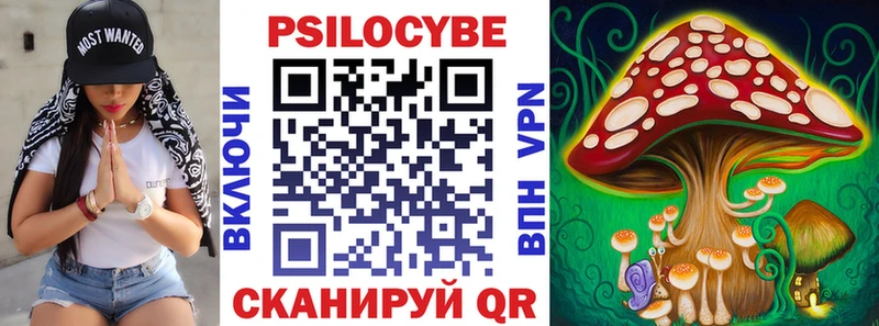 цена   Таганрог  Псилоцибиновые грибы MAGIC MUSHROOMS 